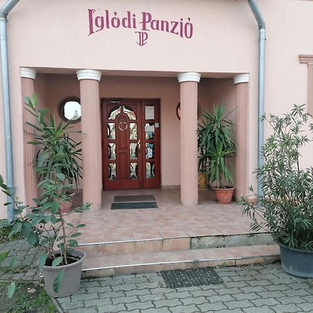 Iglodi Panzio 호텔 Kunszentmárton 외부 사진